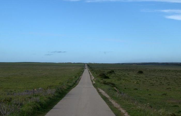 Das Wetter, das wir diesen Montag (13. Januar) an der Algarve haben werden