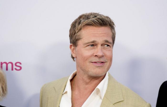 Ein Fünfzigjähriger wurde von einem falschen Brad Pitt betrogen, 830.000 Euro Schaden