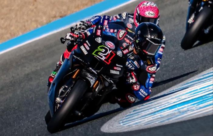 Johann Zarco und die anderen…