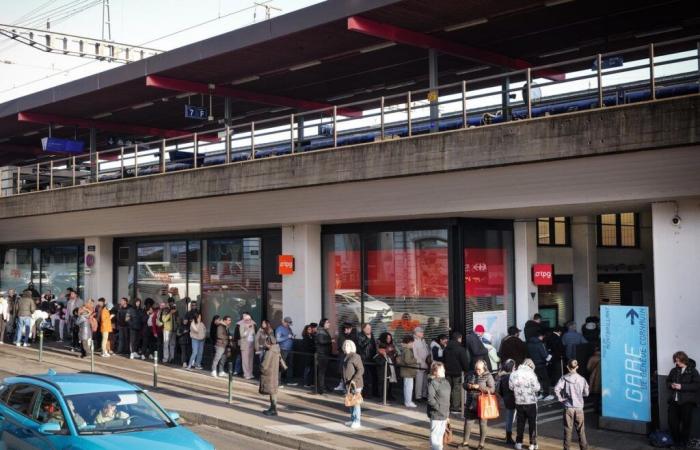 Tausende Menschen nutzen das kostenlose Abonnement