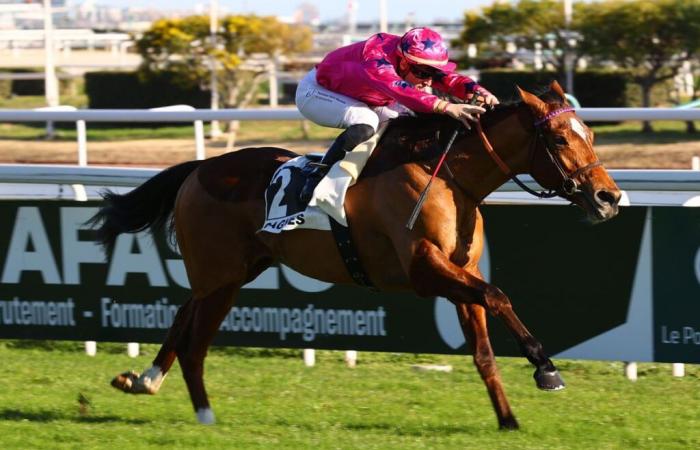 13.01. in Cagnes-sur-Mer – Albert-Taton-Preis: Arrow Eagle in Kraft