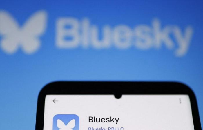 Auch im sozialen Netzwerk Bluesky tauchen prorussische Desinformationen auf