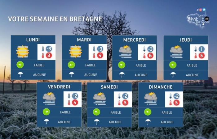 Kaltes und trockenes Wetter, zuerst Sonnenschein, dann graues Wetter – Wetternachrichten