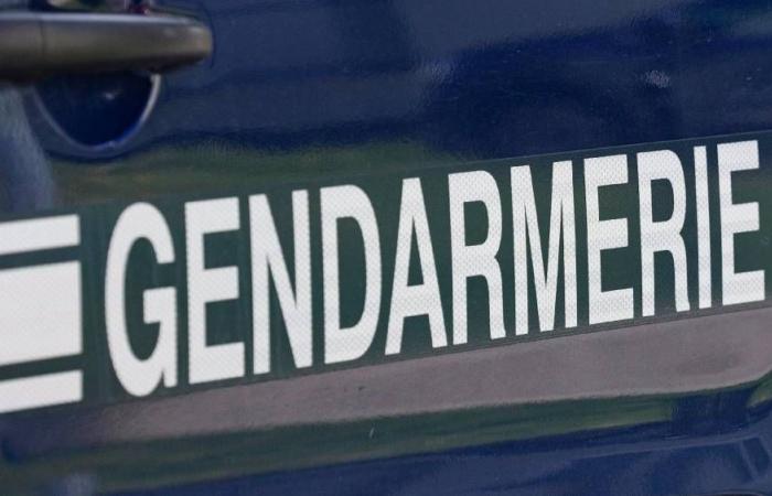 Rufen Sie Zeugen nach dem Messerangriff auf einen Jogger in Gard auf