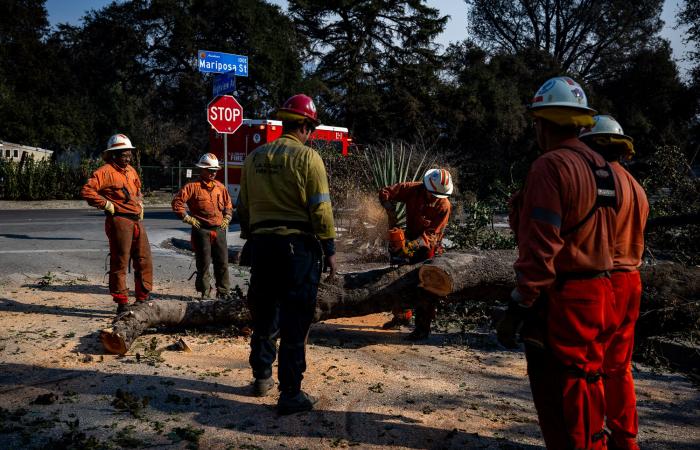 Durch Trauer, Gemeinschaft und Skepsis erneut über Waldbrände berichten