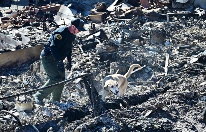 Als Feuerwehrmann getarnter Plünderer in Los Angeles festgenommen