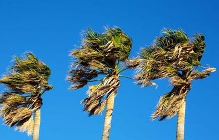 WETTER FRANKREICH Wie ist das Wetter im Gard an diesem Dienstag, 14. Januar?