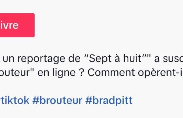 Sie wurde um über eine Million Dollar betrogen, während sie dachte, sie würde mit Brad Pitt sprechen