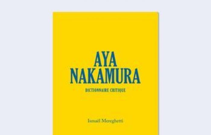 Vorstellungsabend des Buches „Aya Nakamura, kritisches Wörterbuch“ von Ismaël Mereghetti – La Place Centre Culturel Hip Hop – Paris, 75001