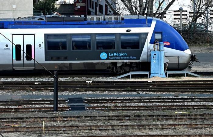 Eine junge Frau bringt mit Hilfe eines Schaffners in einem Zug in Isère ihr Kind zur Welt