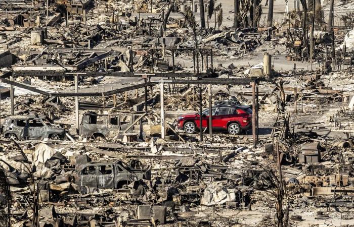 Brände in Los Angeles | Die Rückkehr heftiger Winde droht, die Brände weiter anzuheizen