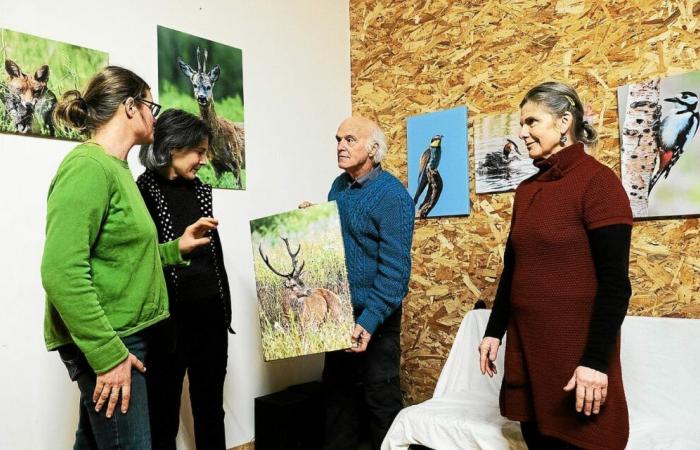 In Erdeven stellt der Bauernfotograf Bernard Schmitt auf dem Bauernhof Saint-Germain aus