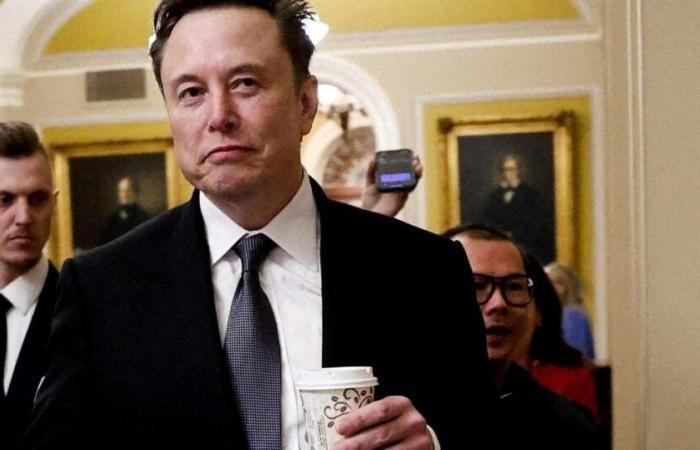 Elon Musk verhandelt über den Kauf von TikTok, berichtet Bloomberg