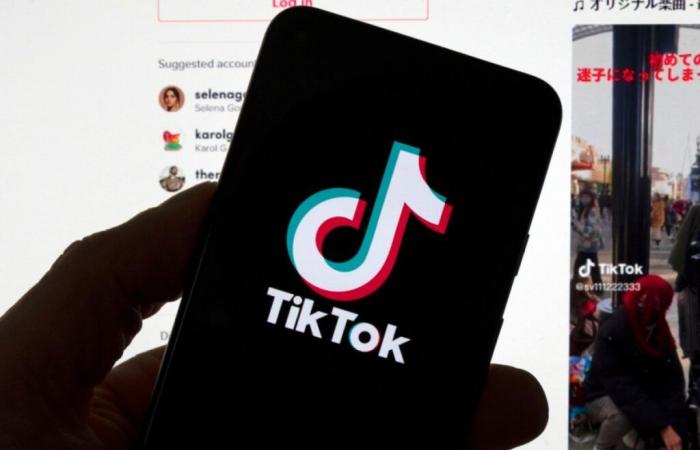 Musk in Gesprächen über den Kauf von TikTok in den USA, eine „reine Fiktion“