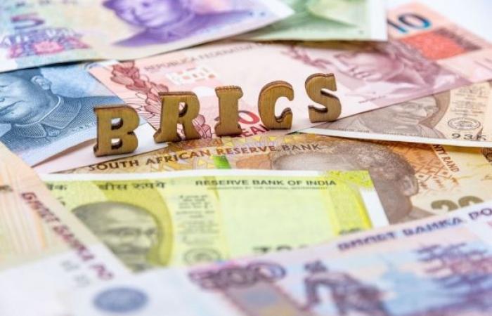 Der rotierende BRICS-Präsident spricht über die Ersetzung des US-Dollars und sagt, er sei nicht gegen den Westen