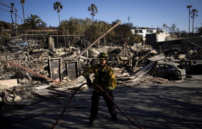 Brände in der Gegend von Los Angeles