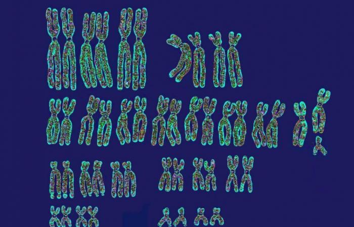 Die besorgniserregende Rückkehr der genetischen Eugenik