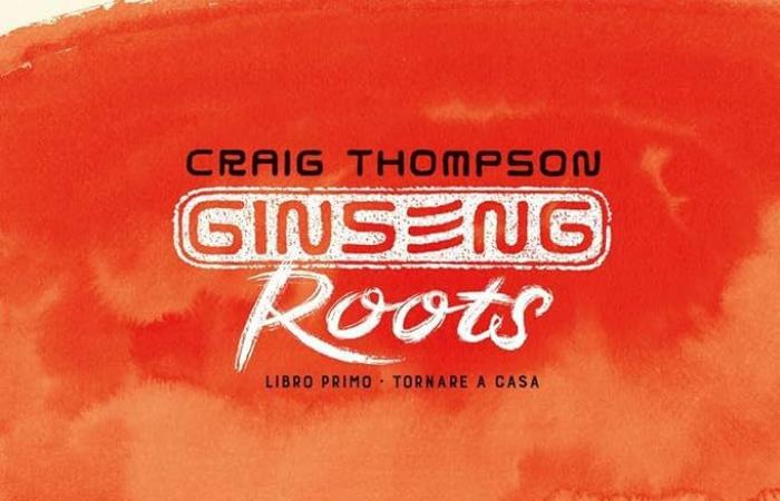 Buch von Craig Thompson: Ginseng Roots