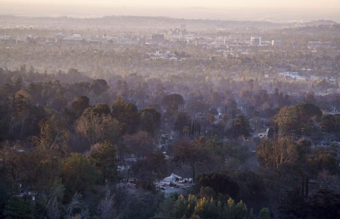 Brände in Los Angeles | Neue Winde müssen über die Stadt wehen