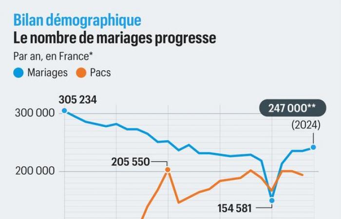 was der neue demografische Bericht Frankreichs sagt