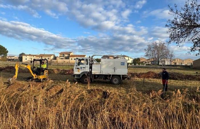 130 Bäume wurden gepflanzt, um die Wasserstraßen in Florensac wiederherzustellen