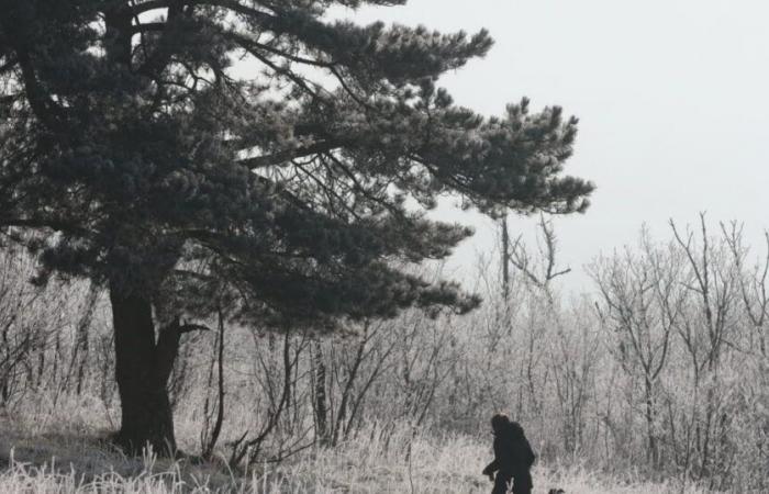 der kälteste Morgen des Winters in der Ebene