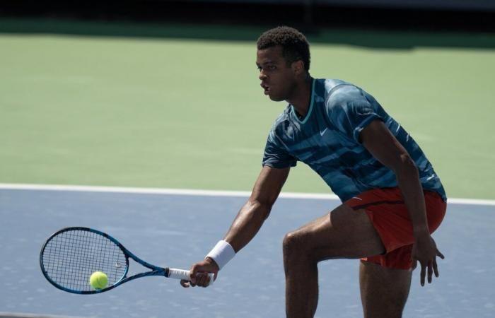 Vorhersagen für Tag 3 der Australian Open Herren, einschließlich Monfils vs. Mpetshi Perricard