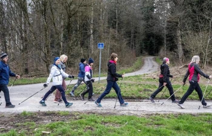 Zehn Tipps, die Ihnen dabei helfen, 10.000 Schritte pro Tag zu erreichen