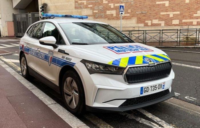 diese Elektroautos, die von der Polizei in Frankreich oder anderswo eingesetzt wurden