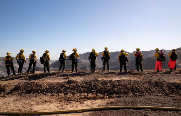 Brände in der Gegend von Los Angeles