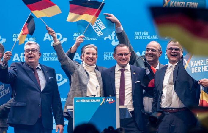 AfD auf Umfragehoch: Kann Weidel Merz noch einholen?