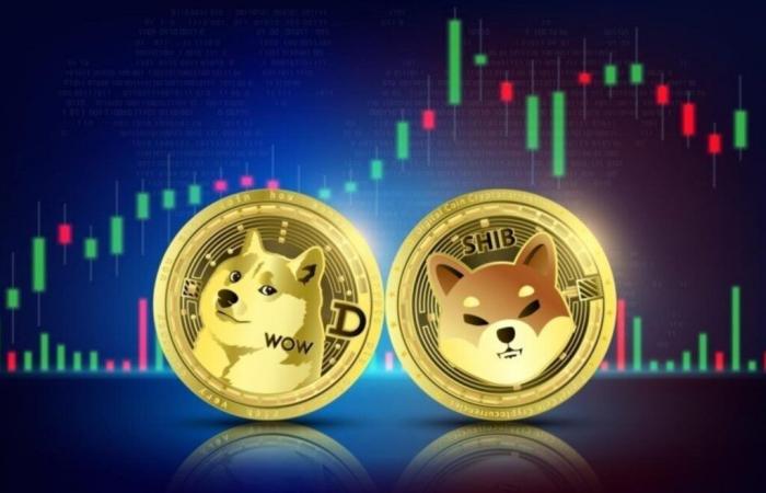 Dogecoin steigt um 10 %, Shiba Inu legt um 6 % zu: Was treibt diesen Anstieg an?