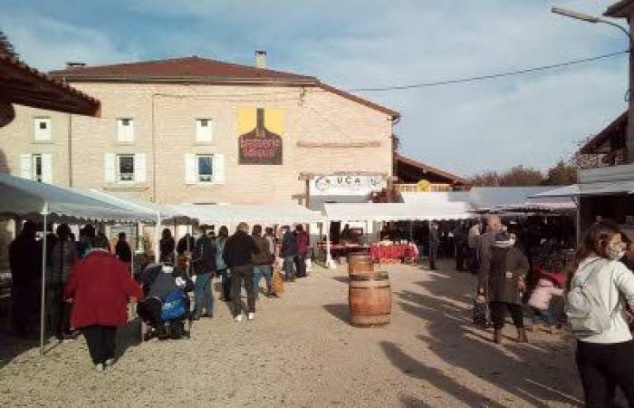 Bauernmarkt in Dieue sur Meuse