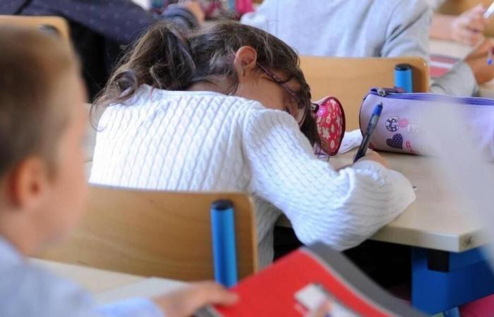 Ein Treffen zur Unterstützung der Begleitpersonen von Studenten in Loire-Atlantique