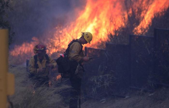 Waldbrände: Sind wir ausreichend vorbereitet?