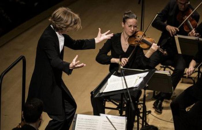 Insula camerata, die professionelle Integrationsakademie für historische Instrumente