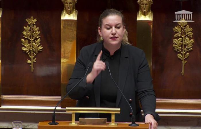 Mathilde Panot wirft der Regierung vor, „nichts zu respektieren“ und nimmt Manuel Valls und Élisabeth Borne ins Visier