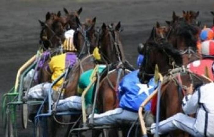 Die letzte Minute von Zone-Turf für das Quinté des Tages: Nr. 4 Jotunn du Dome – Trot