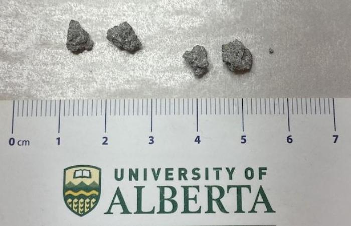 Meteoritensturz auf Prince Edward Island auf Video festgehalten