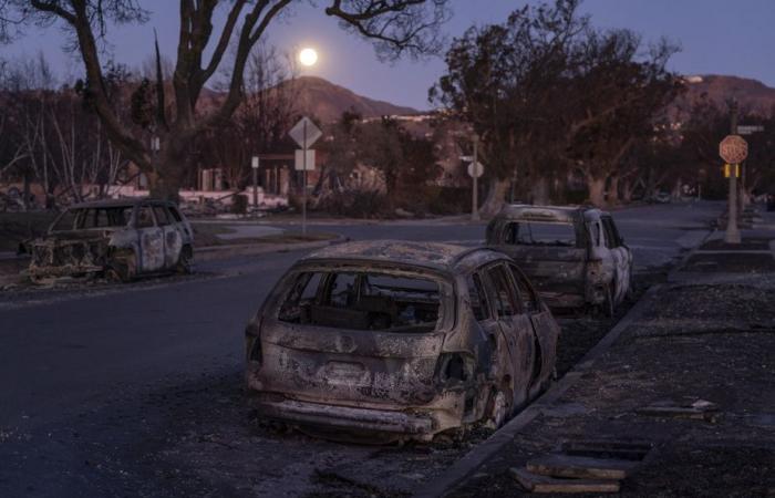 Brände in der Gegend von Los Angeles