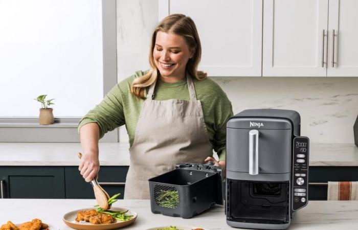 Was ist der beste Airfryer mit großer Kapazität? Die Antwort mit 6 unter realen Bedingungen getesteten Geräten