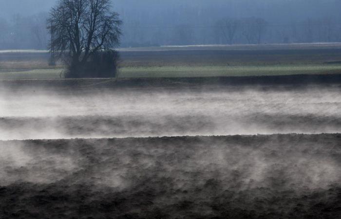 Minustemperaturen, Departements in Alarmstufe Gelb „sehr kalt“ … welches Wetter können wir in den kommenden Tagen in Okzitanien erwarten?