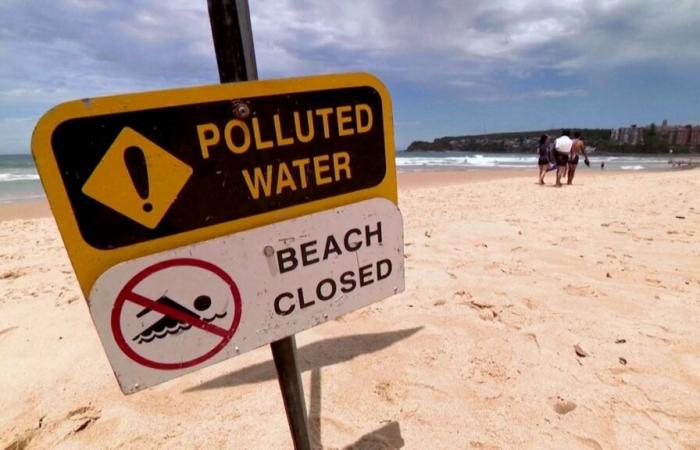 Die Stadt Sydney verbietet den Zugang zu neun Stränden, nachdem mysteriöse kleine Bälle aufgetaucht sind