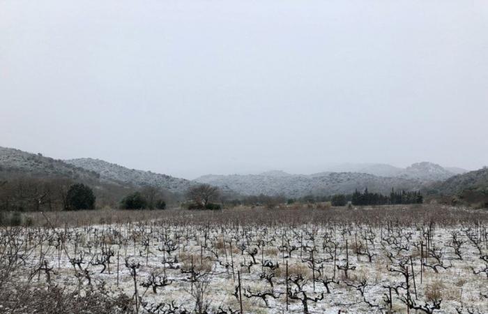 „Eine Rückkehr aus dem Osten“ angekündigt, Regen und Schnee in den Pyrénées-Orientales erwartet