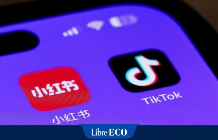 Schon bevor TikTok verboten wurde, wechselten Tausende Amerikaner zu einer anderen App