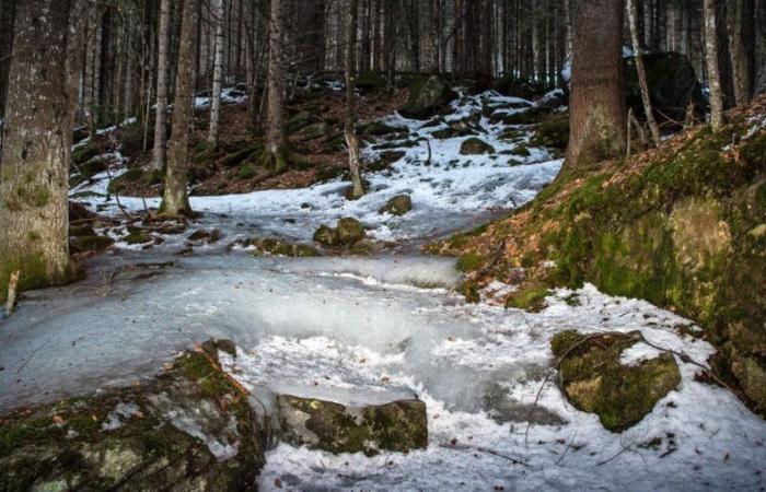 SRF-Forschung zu Sanierungskosten aufgrund der PFAS-Verschmutzung