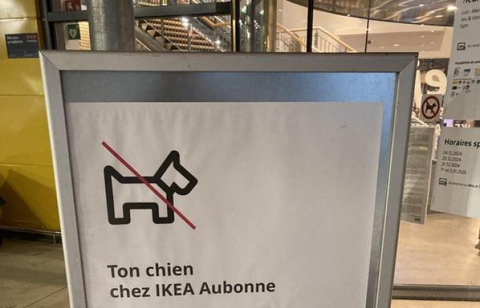 IKEA geht radikal gegen Hunde vor