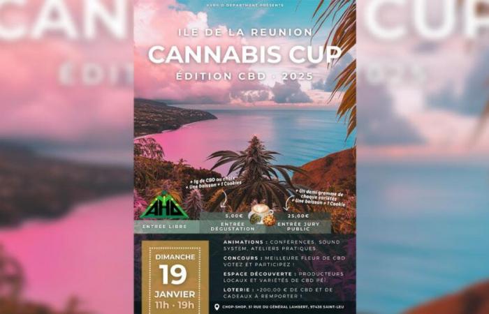 Die Ausgabe des Cannabis Cup CBD 2025 beginnt am 19. Januar