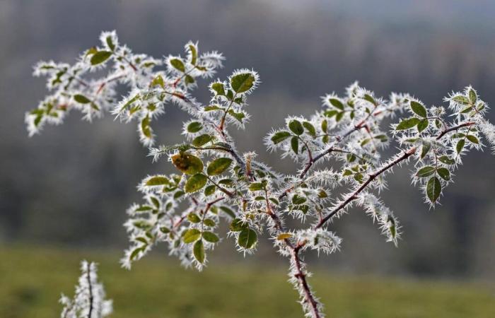 bis zu -8,8°C im Südwesten, wo war es letzte Nacht am kältesten?