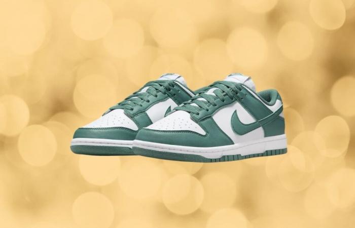 Rekordpreise für diese 3 Dunk Low-Stars des Jahres 2025